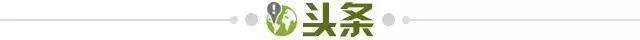MK体育-【早报】哈兰德脚踝受伤！曼城本赛季在渡劫？